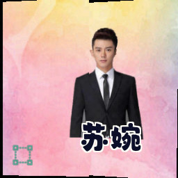 苏婉